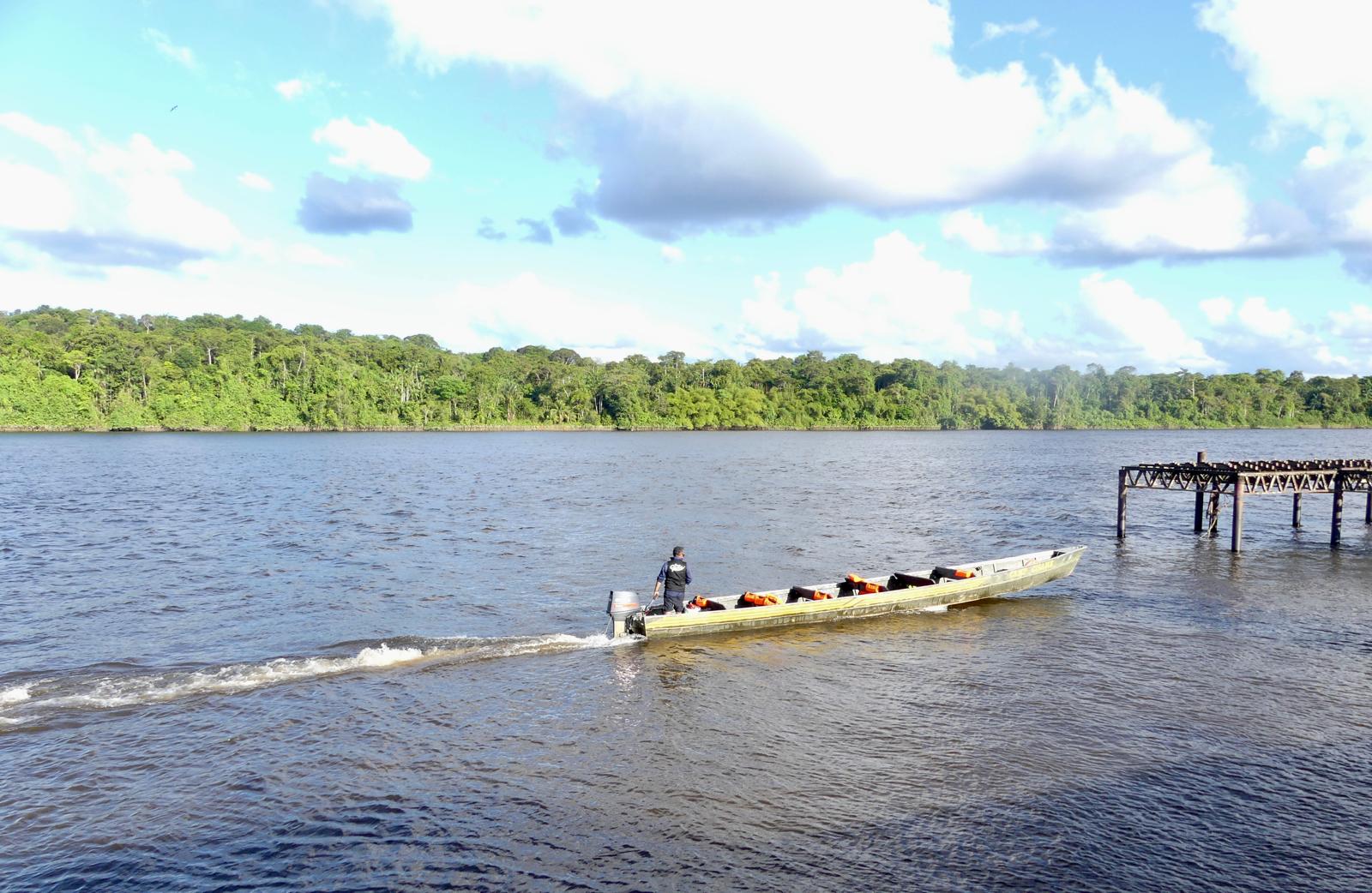 Pirogue sur l'Approuague